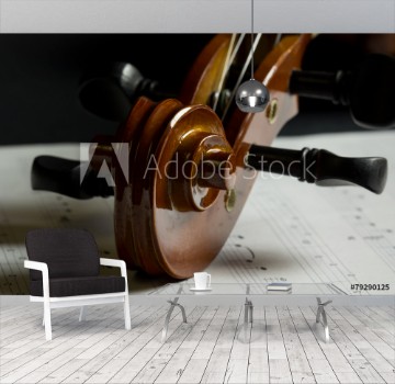 Picture of Volute et chevilles de violon